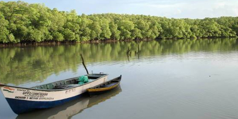 Baratang Island