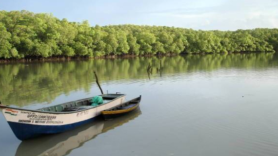 Baratang Island